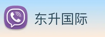 东升国际 Logo